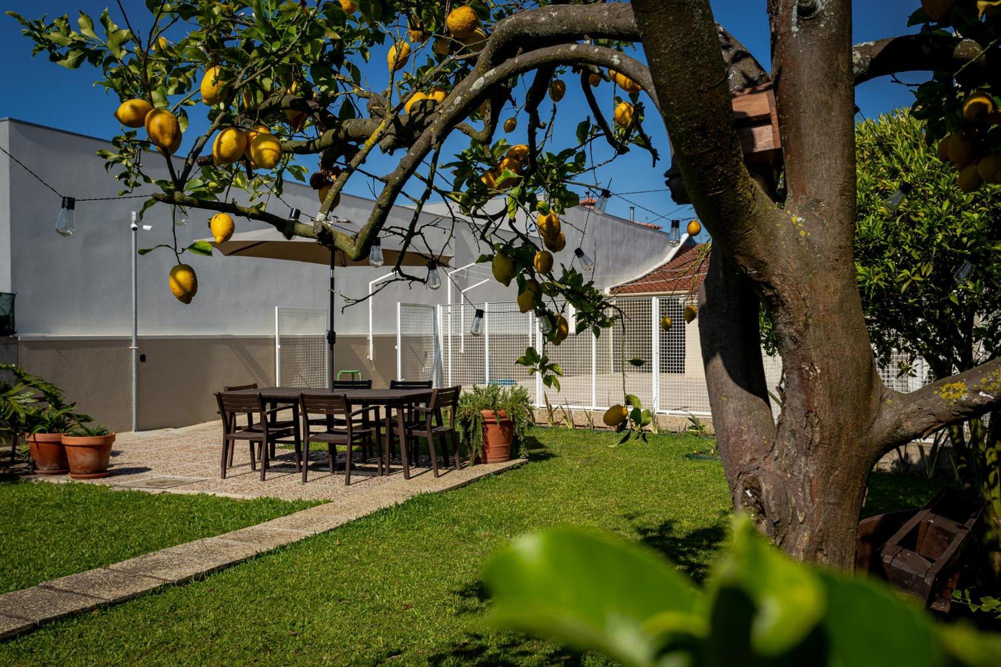 708 Mugnano House Aveleda Villa Vila do Conde Ngoại thất bức ảnh